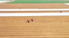 激荡正在广宽的中华